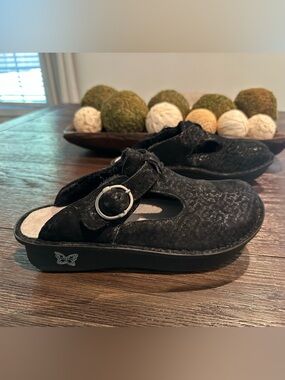 Algeria Clogs